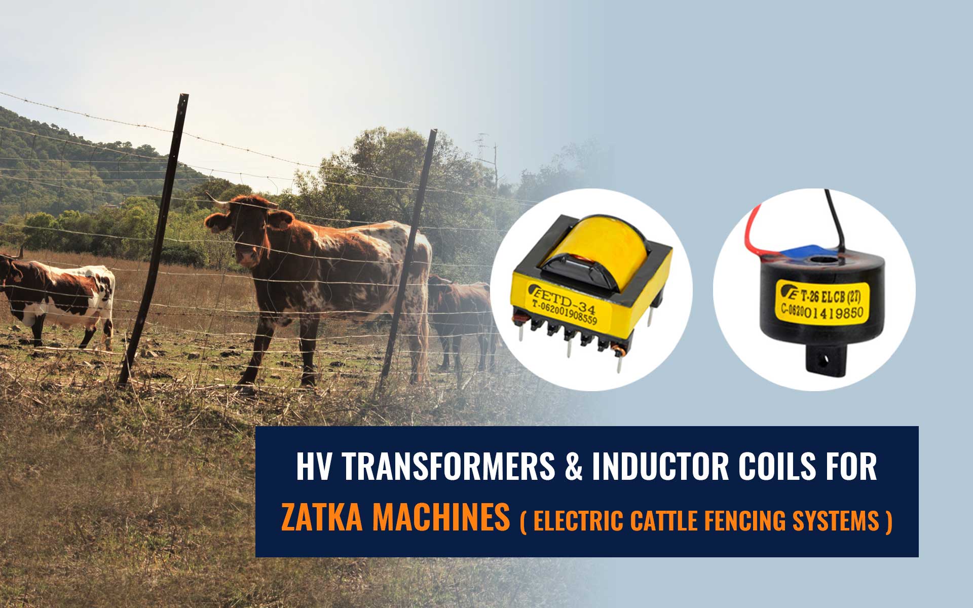 HV Transformers & Inductor Coils for Zatka Machines
