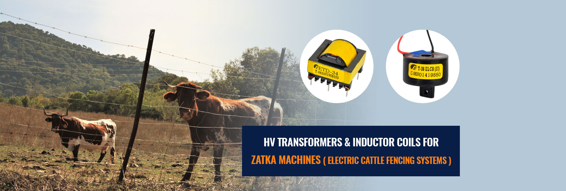HV Transformers & Inductor Coils for Zatka Machines
